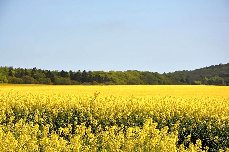 Reethäuser auf Rügen