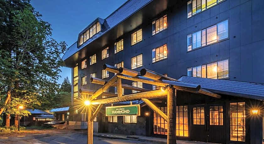 Bed 'n Onsen Hammond
