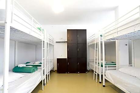 Bunk Bed in Mixed Dormitory Room