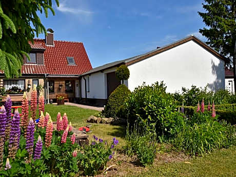 Schone Ferienwohnung mit Garten in Robertsdorf