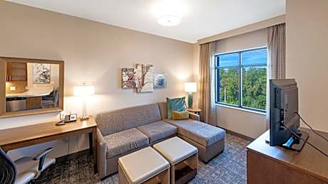 Studio Queen Suite with Accessible Roll-In Shower