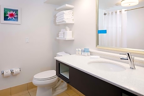 1 King Study Shower Only W/Sofabed Nosmok