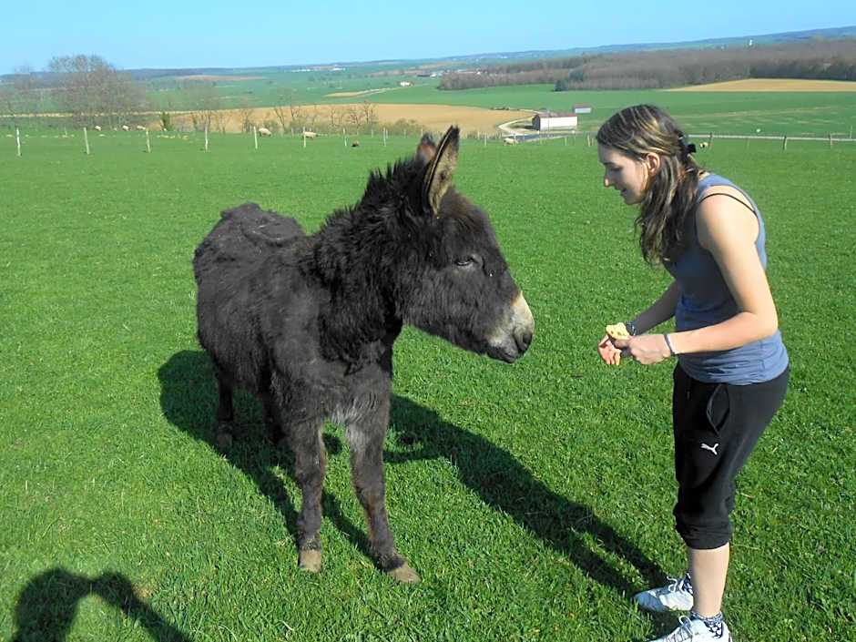 La Ferme des 3 Suissesses