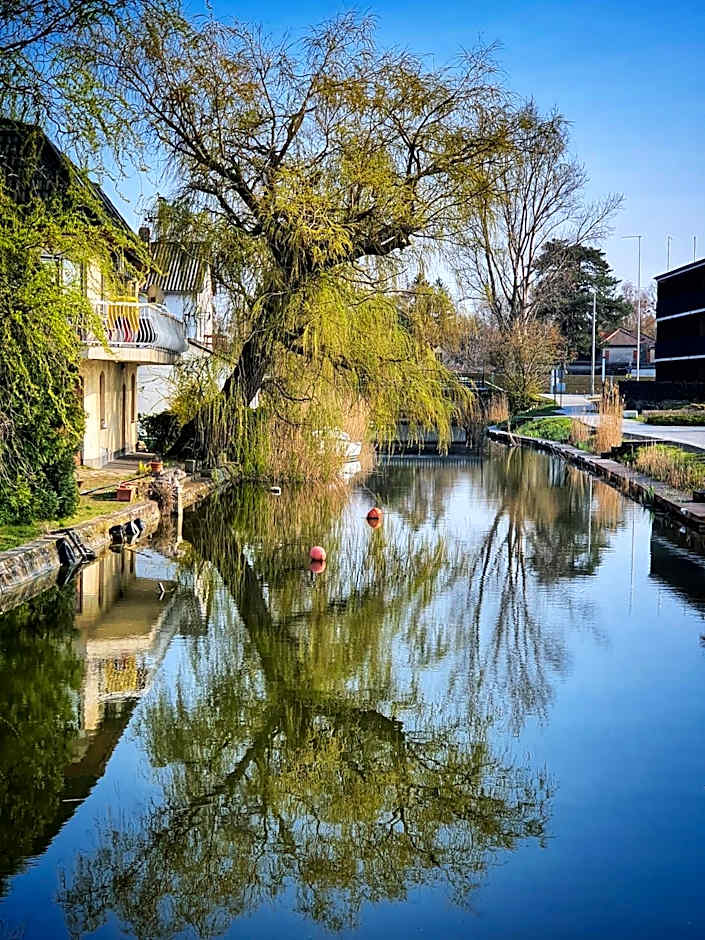 Fenyves Yacht Club Superior