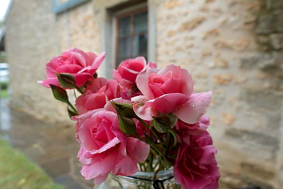 Amy's House Bed & Breakfast