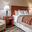 Comfort Inn & Suites University South