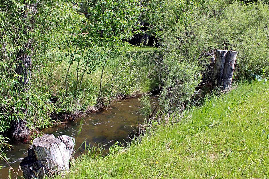 Rodeway Inn Gunnison