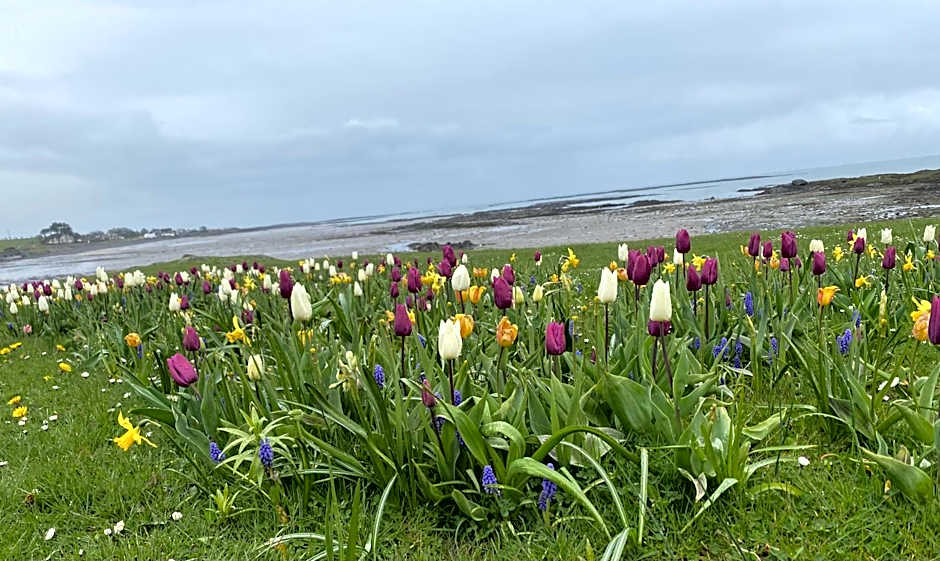The Old Vicarage NI B&B