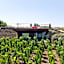 Tenuta di Castellaro Winery & Resort
