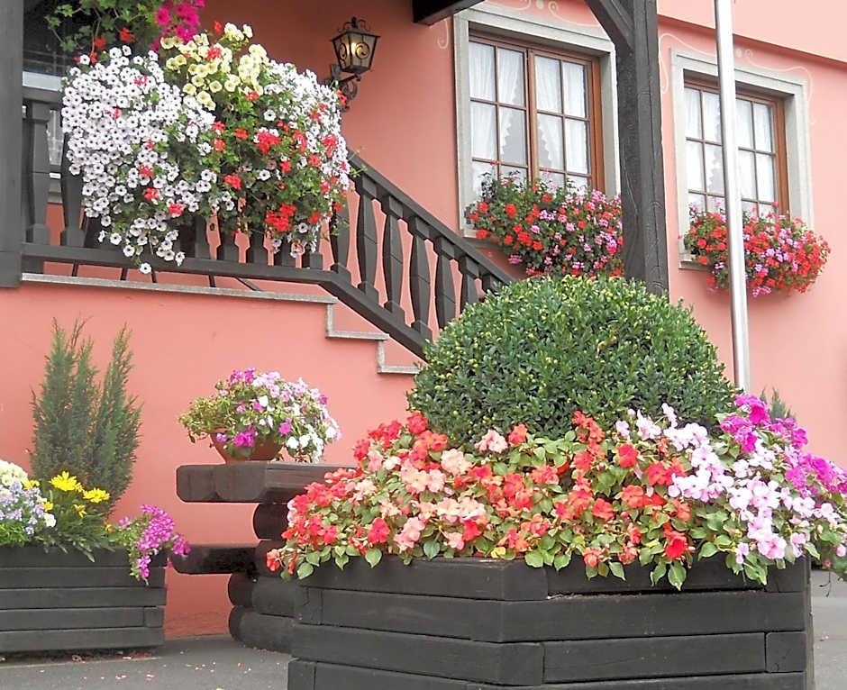 Hotel Schwarzes Ross