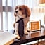 Villa Brown Moshava - a member of Brown Hotels