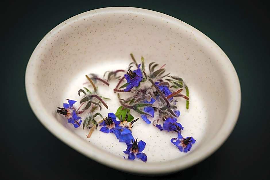 Kimpton Virgilio Polanco by IHG