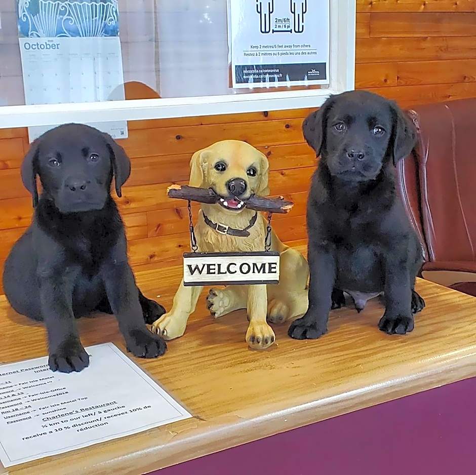 Fair Isle Motel & The Nest