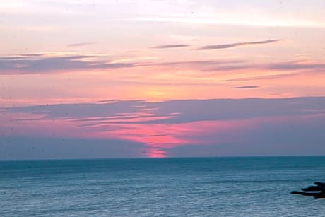 The S Boutique Hotel