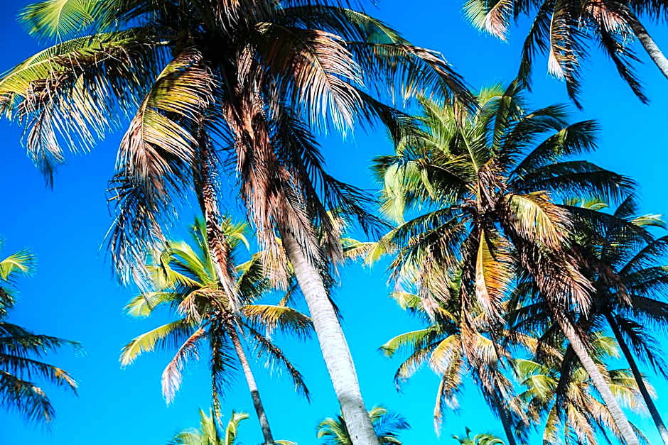 CASA SALGA - MILAGRES - 3 mins a pé da praia da Capela
