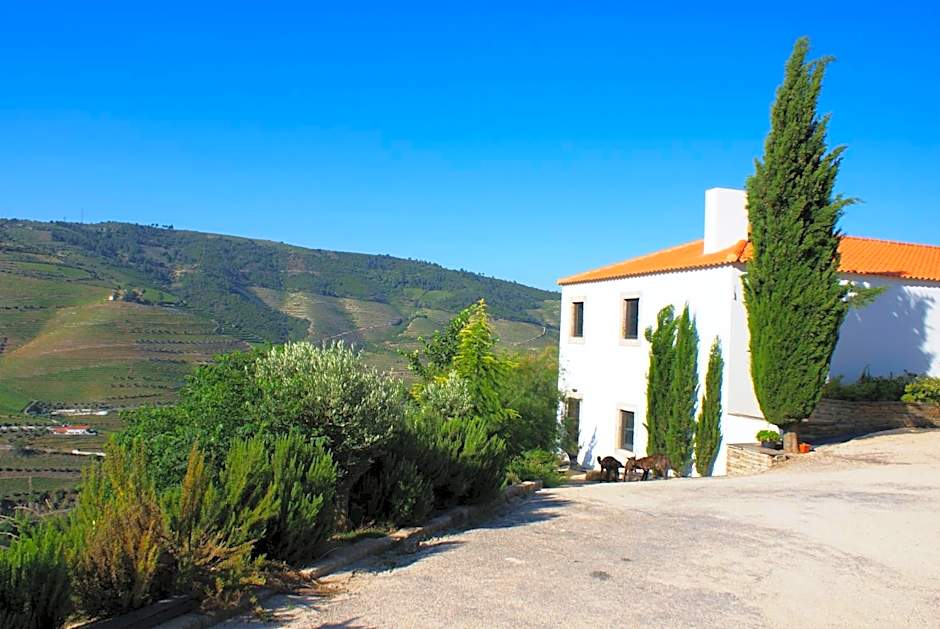 Quinta da Veiga