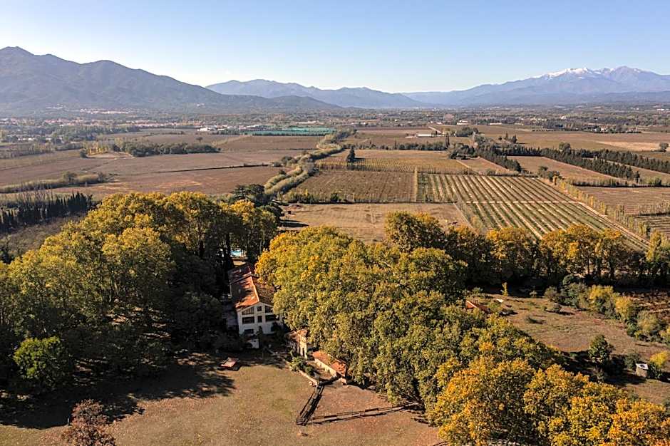 Domaine Castell de Blés
