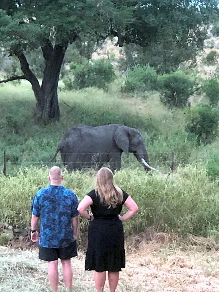 Barn Owl Lodge, Mjejane Game Reserve, Greater Kruger Park