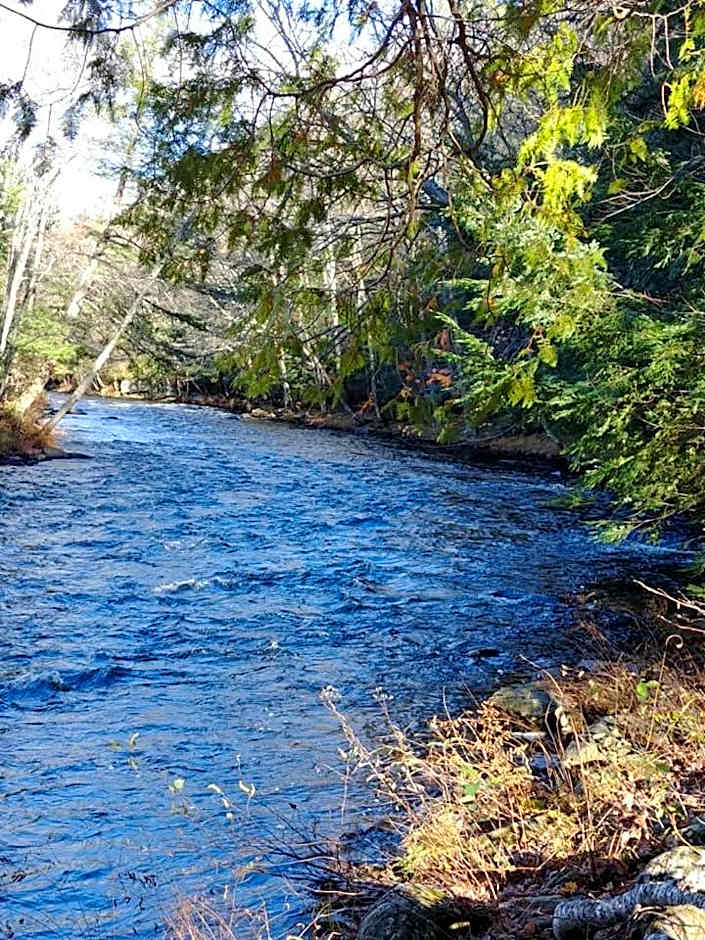 Dwight Riverside Inn