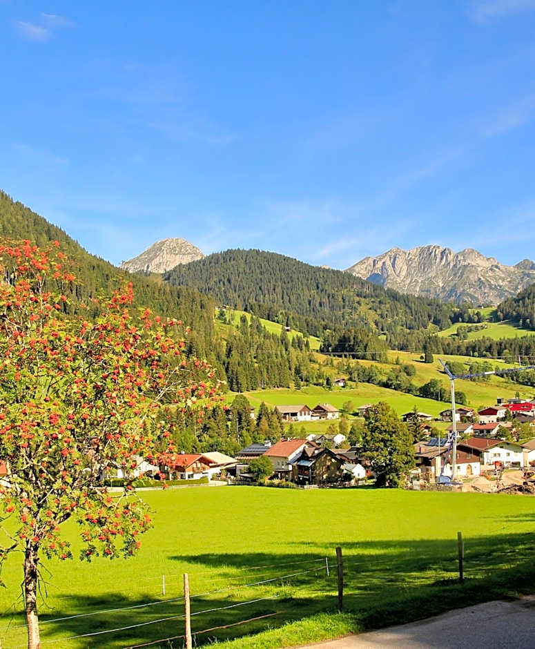 Boutique Hotel Alpenhof – Sankt Martin am Tennengebirge, 