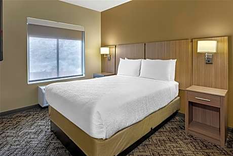 King Suite with Sofa Bed