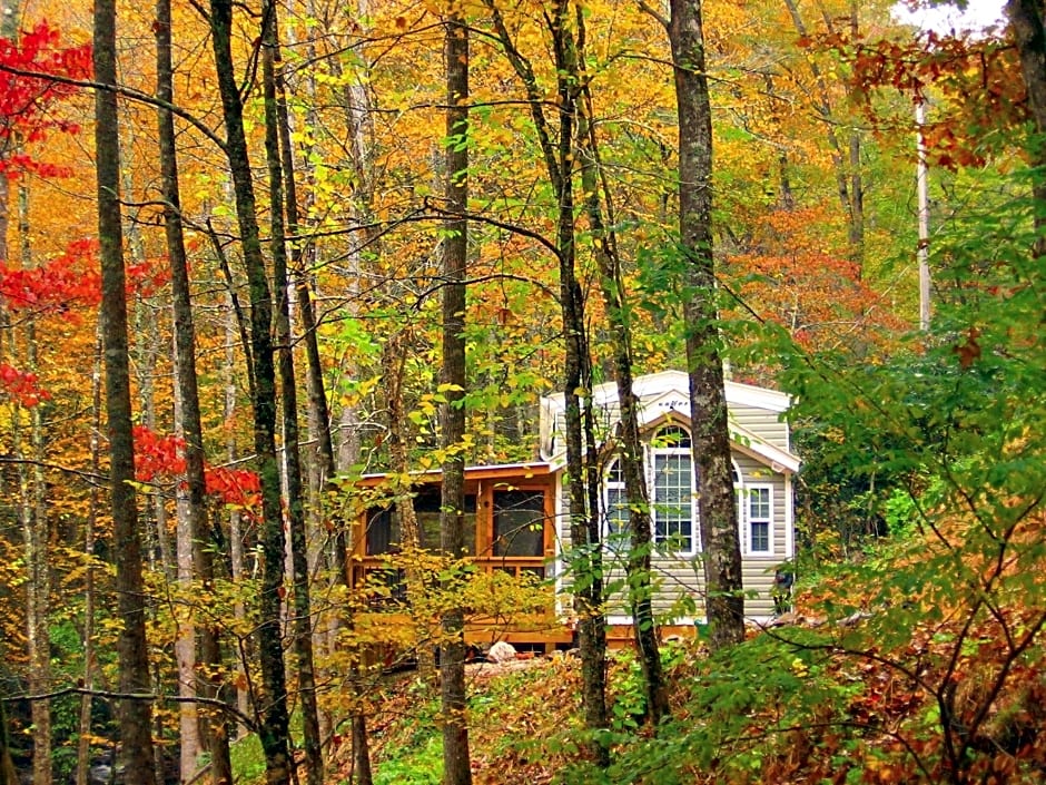 The Owl's Perch