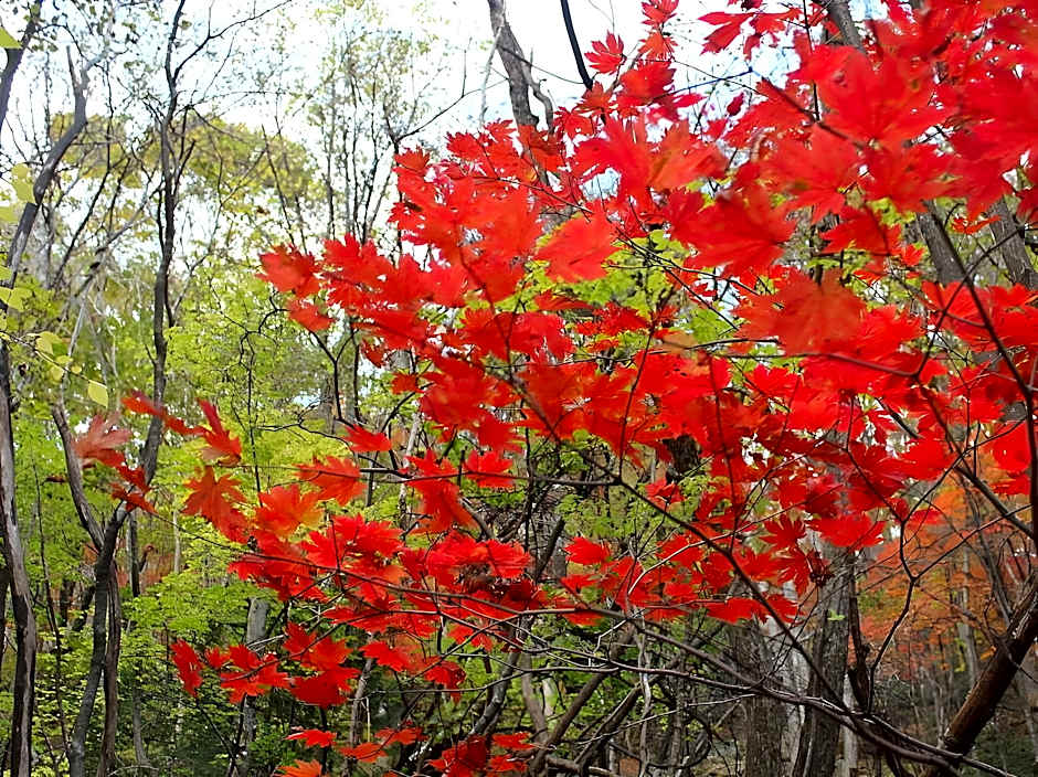 Daegwalnyeong Sanbang