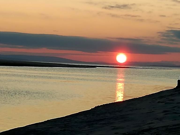 Sunflower Bed & Breakfast