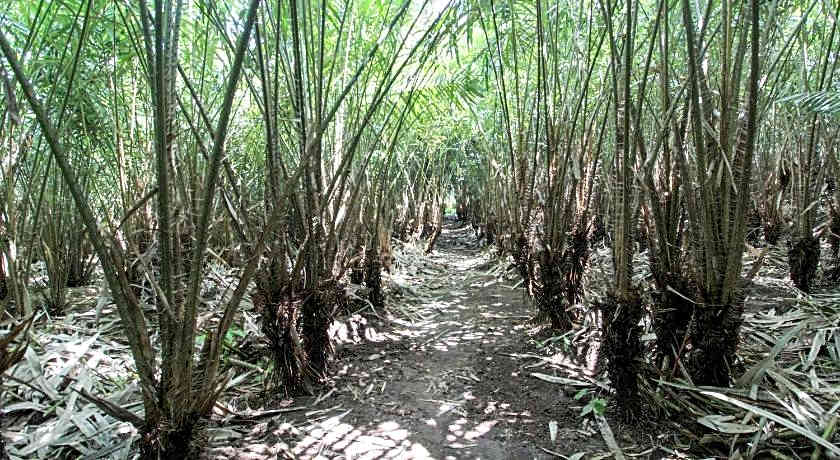 RedDoorz near Museum Gunung Merapi