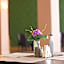 Hotel Ambasador Mamaia
