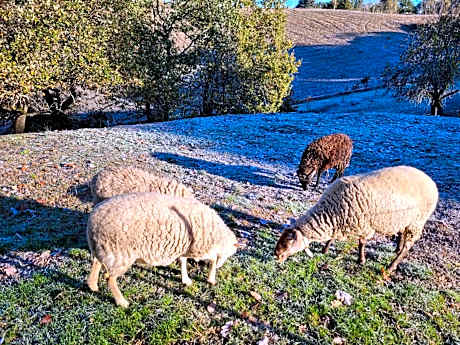 Relais de la poste ch Rose