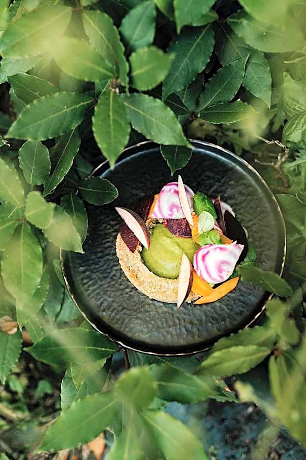 Hostellerie Pointe St-Mathieu,The Originals Collection