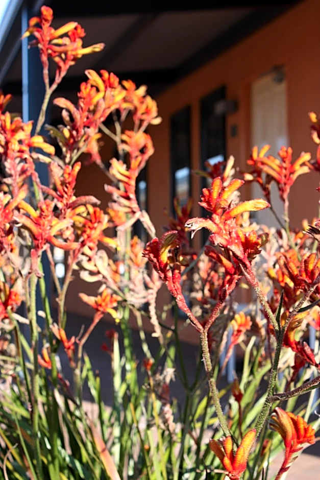 The View On Hannans Kalgoorlie