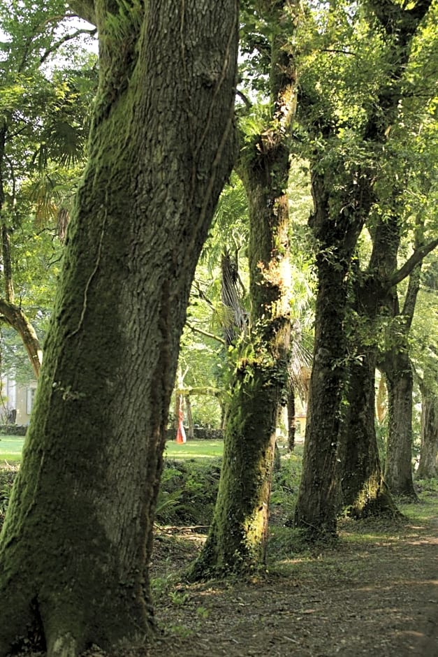 Chateau Saint Martin B&B