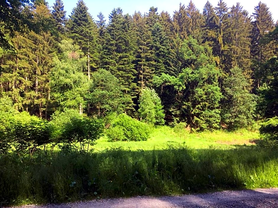 Natur & Wander Hotel Gassbachtal