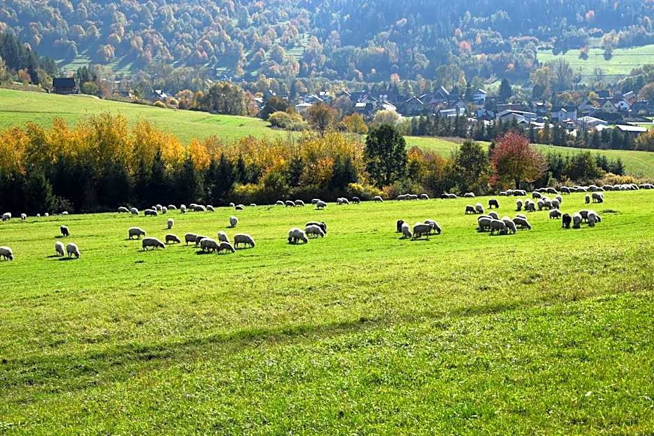 Lawendowe Wzgórze 21 dom z jacuzzi na wyłączność