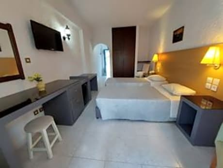 Standard Double or Twin  Room