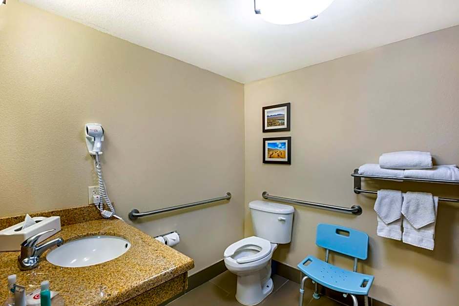 Photo 1 of 4 of 1 King Bed Suite, Accessible