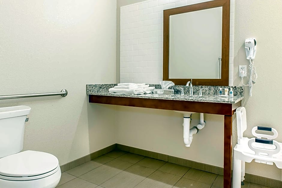 Comfort Suites Rensselaer near Fair Oaks