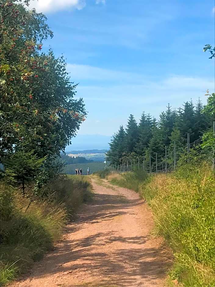 Hotel Garni Schmieder’s Ochsen