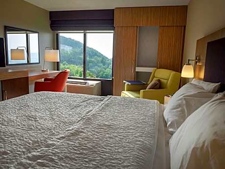1 King Bed Valley View Nonsmoking