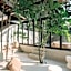 Luxury Baliwood Residence Villas