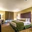 Cobblestone Inn & Suites - Lakin