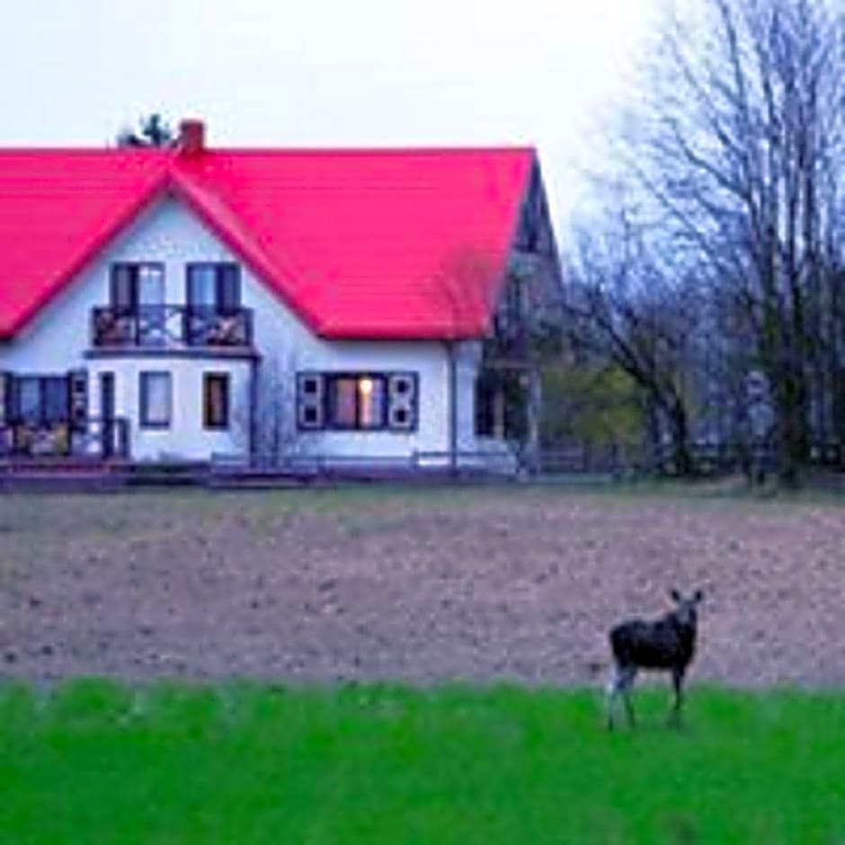 Łosiowy Kąt