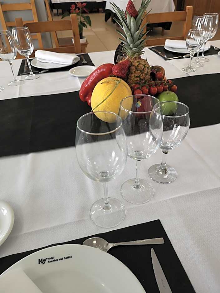 Hotel Avenida del Sotillo