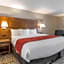 Comfort Inn Grove City - Columbus South