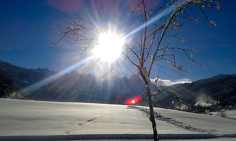 Hotel - Restaurant Gosauerhof