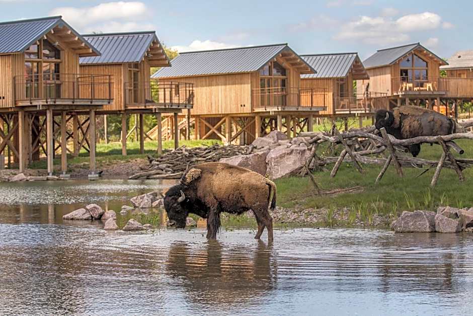 Parc Animalier de Sainte-Croix