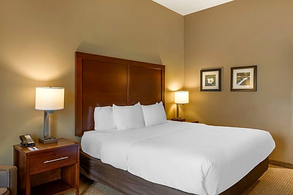 Comfort Inn & Suites At CrossPlex Village