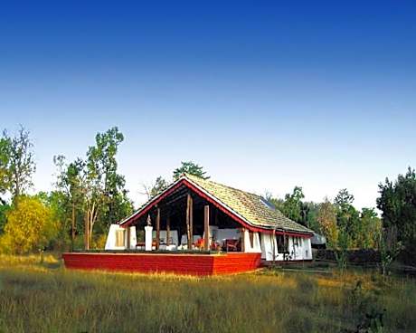 Monsoon Forest Bandhavgarh